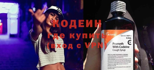 прущие грибы Покров