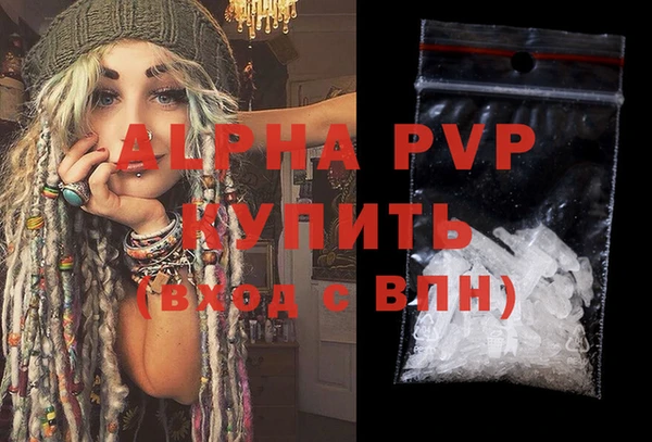 прущие грибы Покров